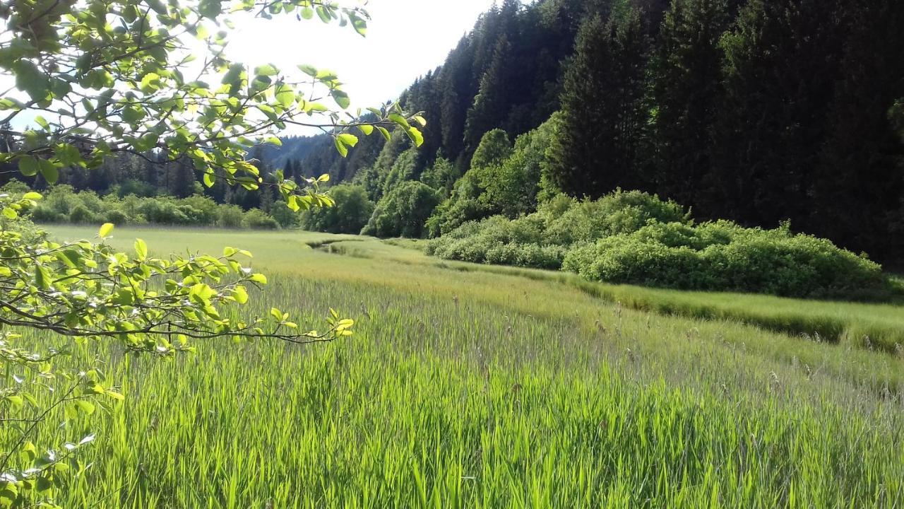 Apartma Kramar Podkoren Kranjska Gora Eksteriør bilde