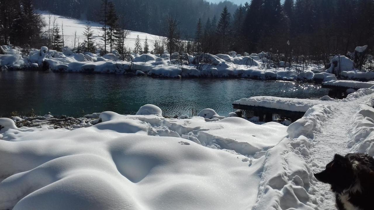 Apartma Kramar Podkoren Kranjska Gora Eksteriør bilde